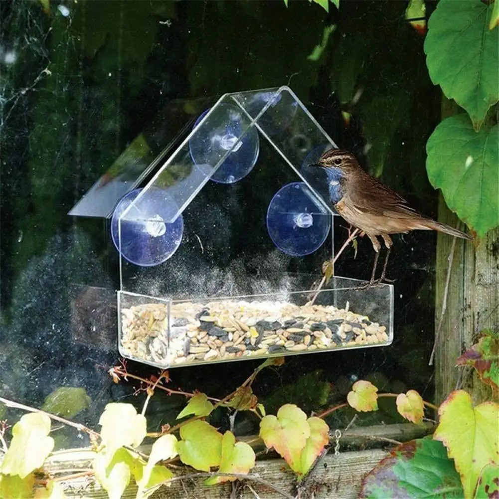 Gennemsigtigt fuglefoderhus til vinduet